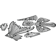 Lego Skin Sheet 1 for Set 81003-1 / [No Color/Any Color]