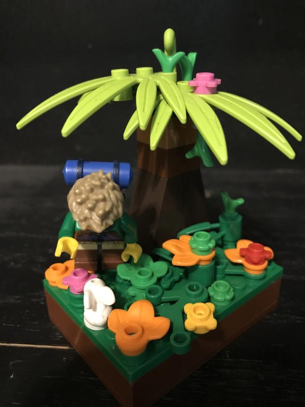 Lego A New Friend