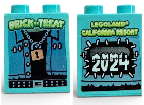 Lego Duplo, Brick 1 x 2 x 2 with Brick or Treat LEGOLAND California Resort 2024 Pattern
