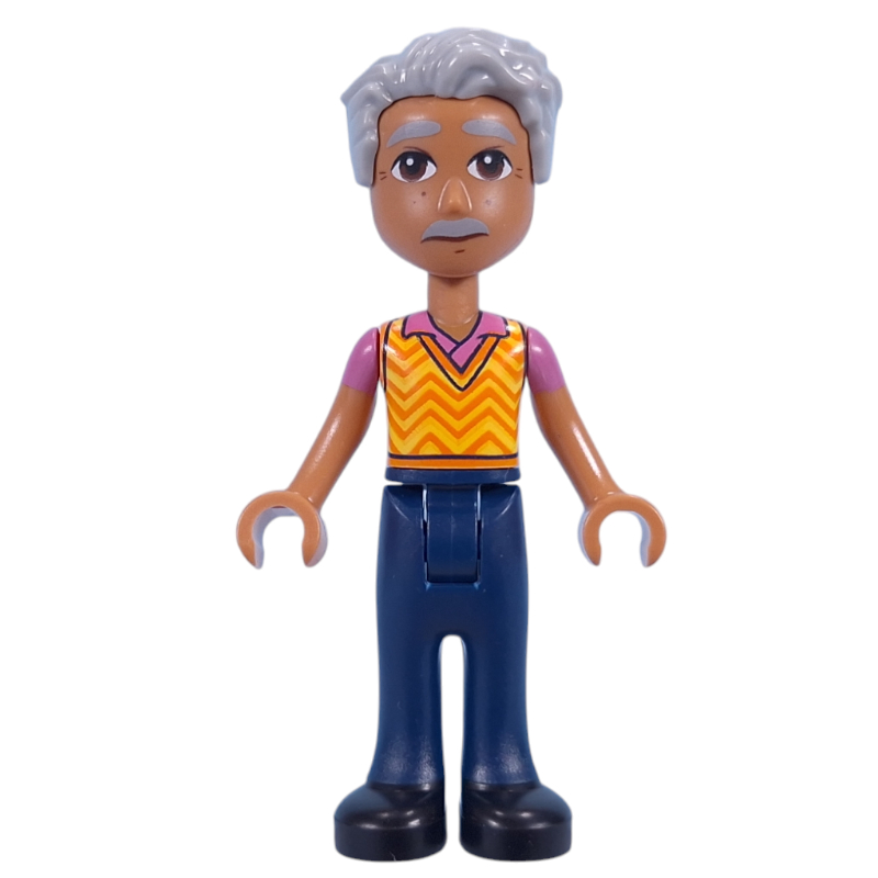 Lego Raj