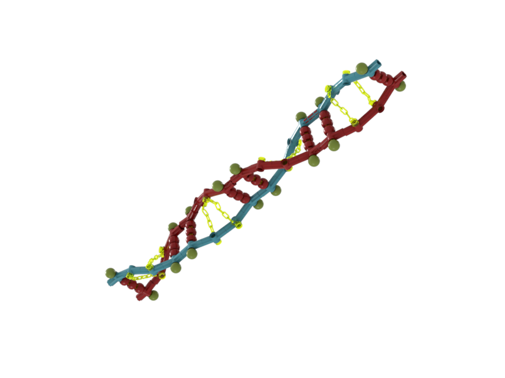 Lego DNA double helix