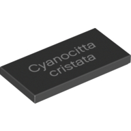Lego Tile 2 x 4 with White 'Cyanocitta cristata' Print