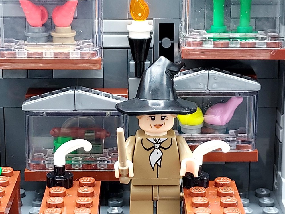 Lego Care of Magical Creatures Classroom