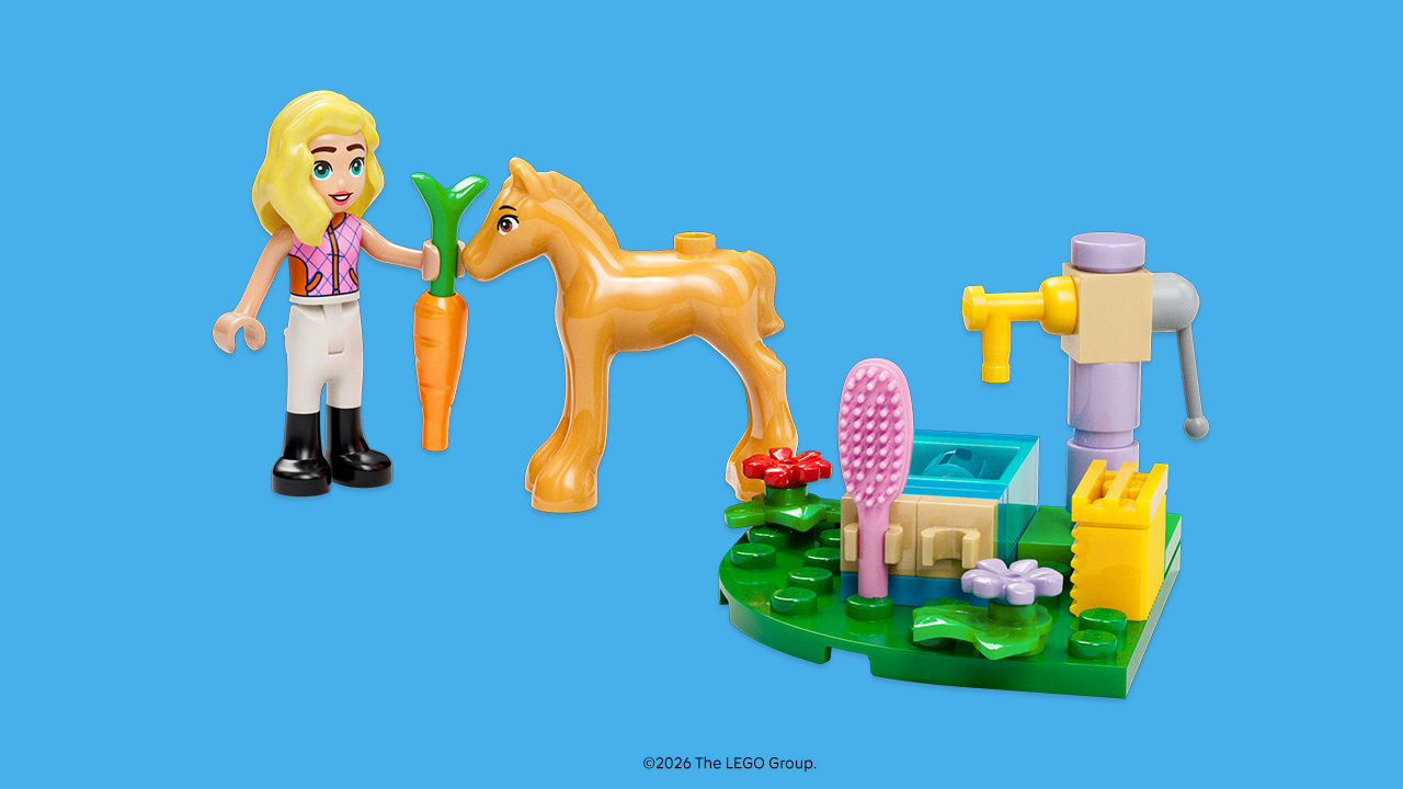 Lego First Friendship