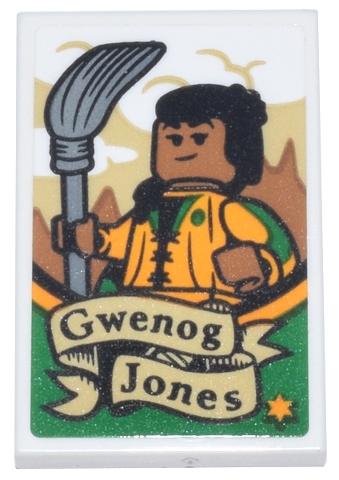 Lego Tile 2 x 3 with Poster with Quidditch Player, Silver Broomstick, and Black 'Gwenog Jones' Pattern (Sticker) - Set 76437