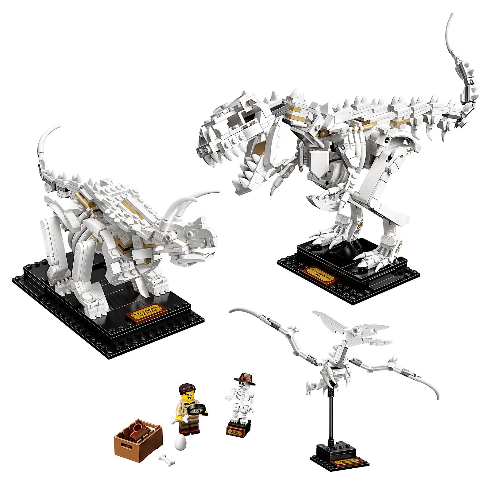 Lego Dinosaur Fossils