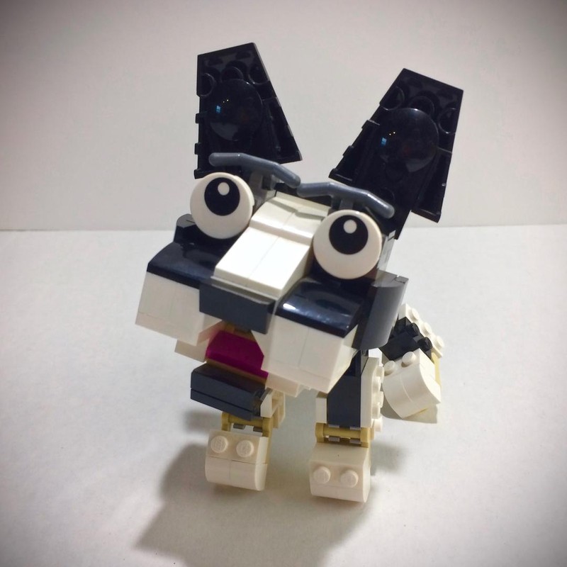 Lego Boston Terrier