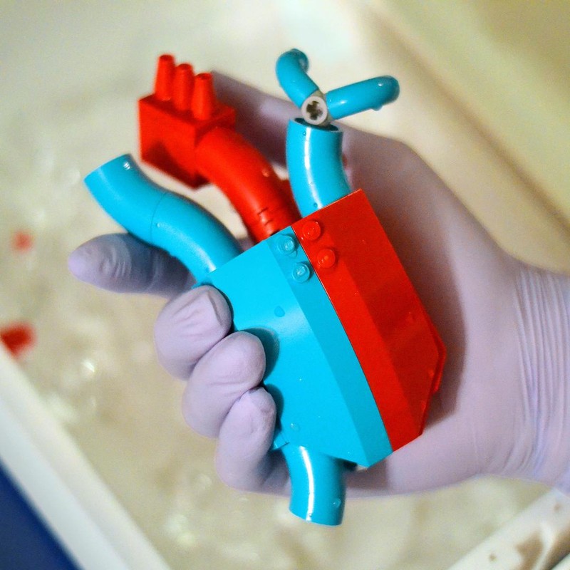 Lego Anatomical Heart