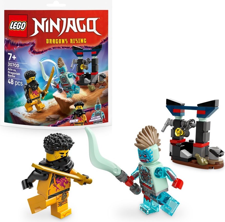Lego Arin vs. Dragonian Battle