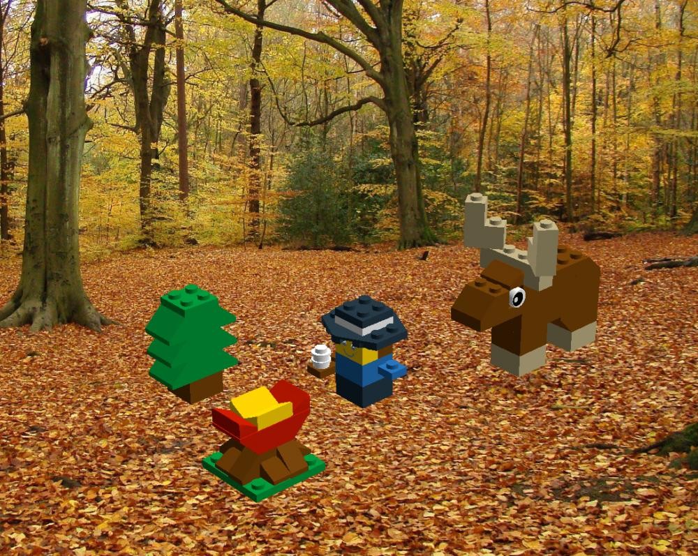 Lego 10682 - 4 - Forest