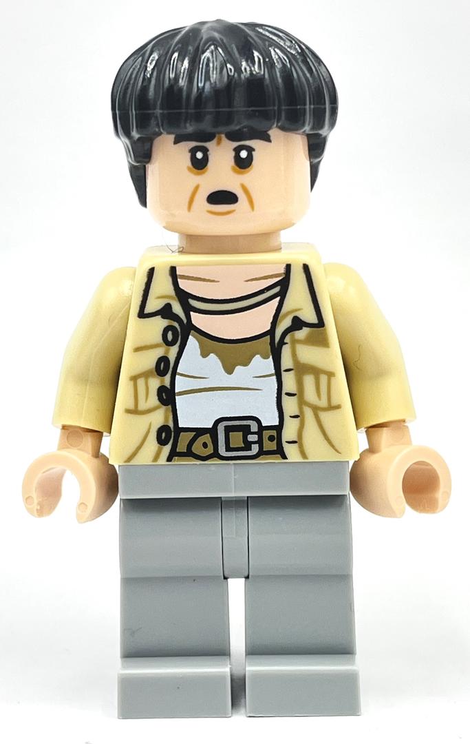 Lego Satipo