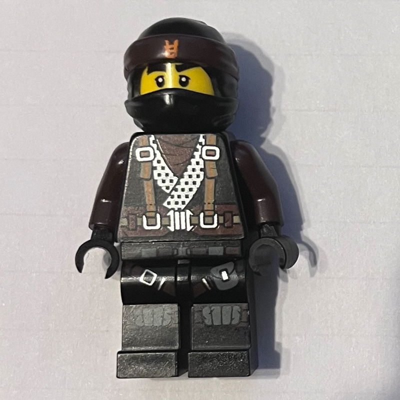 Lego Cole (Hunted)