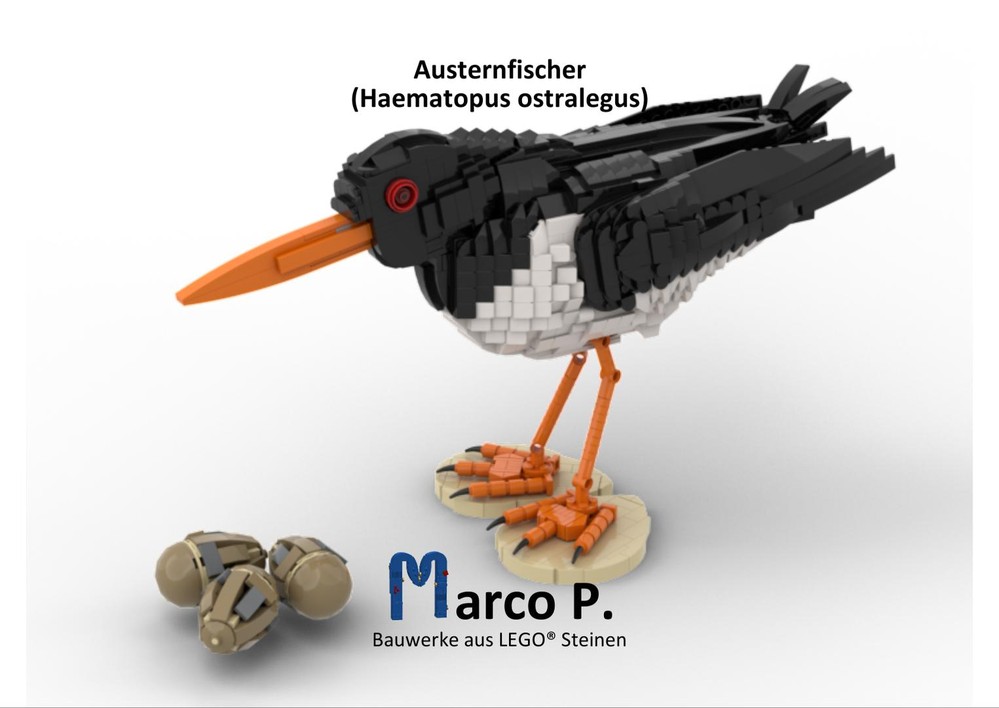 Lego Austernfischer / oystercatcher