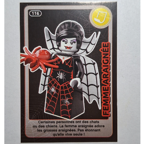 Lego Trading Card for Set TRADINGCARD-12, #116 Print / [No Color/Any Color]