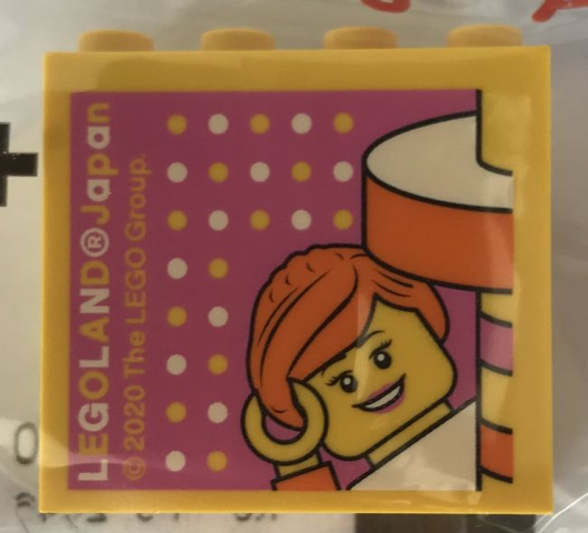 Lego Brick 2 x 4 x 3 with LEGOLAND Japan, Female Minifigure, and Dots Pattern