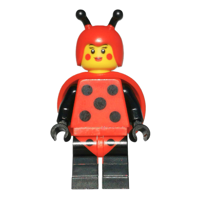 Lego Ladybug Lady