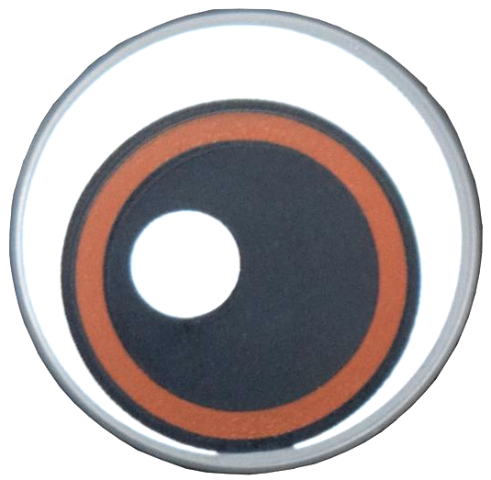 Lego Tile, Round 2 x 2 with Bottom Stud Holder with Reddish Brown and White Eye with Large Black Pupil Pattern / Dark Bluish Gray
