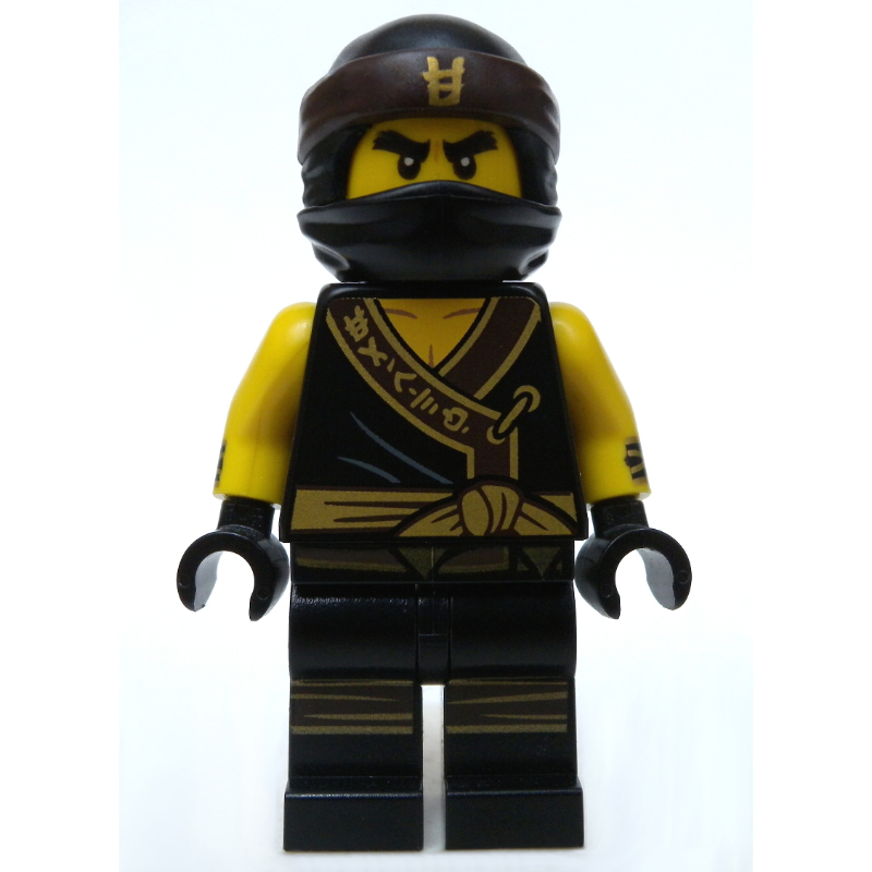 Lego Cole (LEGO Ninjago Movie)