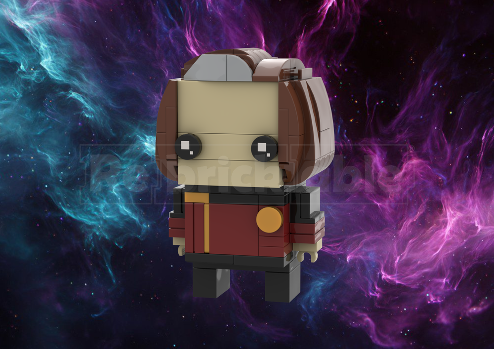 Lego Admiral Janeway