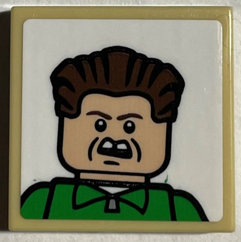 Lego Tile 2 x 2 with Minifigure Portrait with Dark Brown Hair, Green Shirt, Angry Face Pattern (Sticker) - Set 21330
