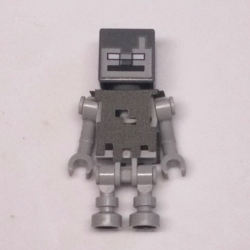 Lego Stray