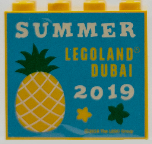 Lego Brick 2 x 4 x 3 with LEGOLAND Dubai 2019 Summer Pattern