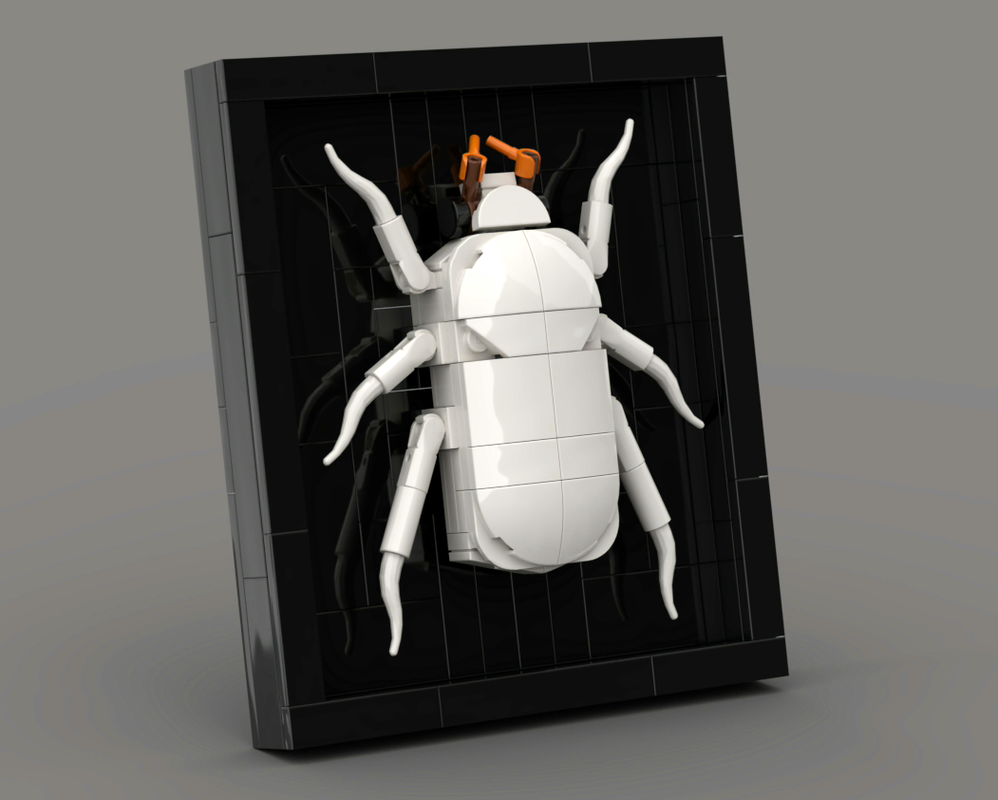 Lego Cyphochilus insulanus
