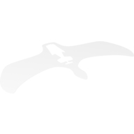 Lego Wings, with White, Gray, and Blue Lightning Print / Trans-Clear