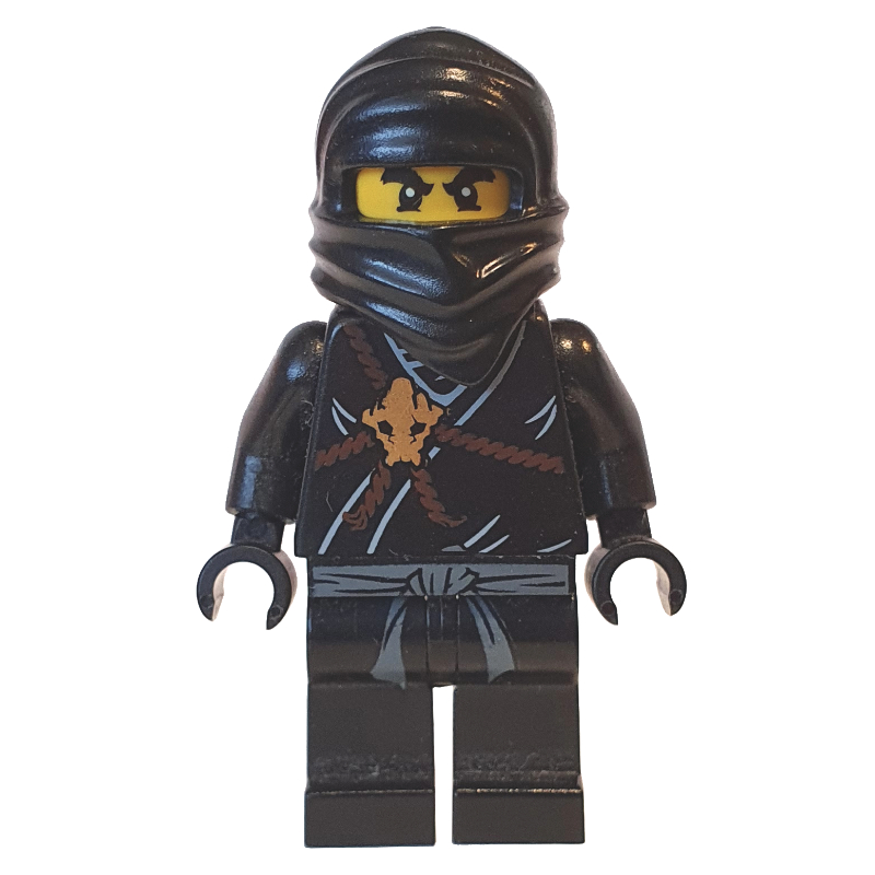 Lego Cole (The Golden Weapons)