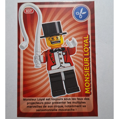 Lego Trading Card for Set TRADINGCARD-12, #037 Print / [No Color/Any Color]