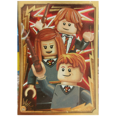 Lego Trading Card, Harry Potter, Gold Card - Weasley Family / [No Color/Any Color]