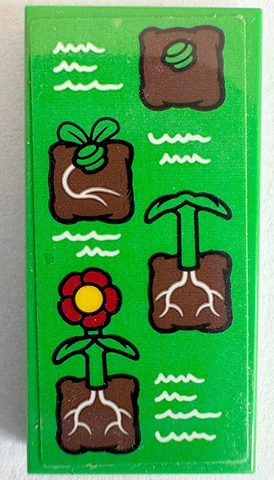 Lego Tile 2 x 4 with Poster with Stages of Plant Growth, Red and Yellow Flower with White Roots and Writing Pattern (Sticker) - Set 60329 / Bright Green