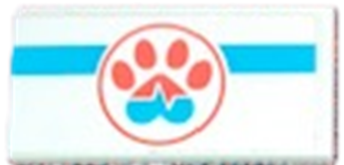 Lego Tile 2 x 4 with Coral and Medium Azure Paw Print, Heart Beat and Stripe Pattern (Sticker) – Set 41446