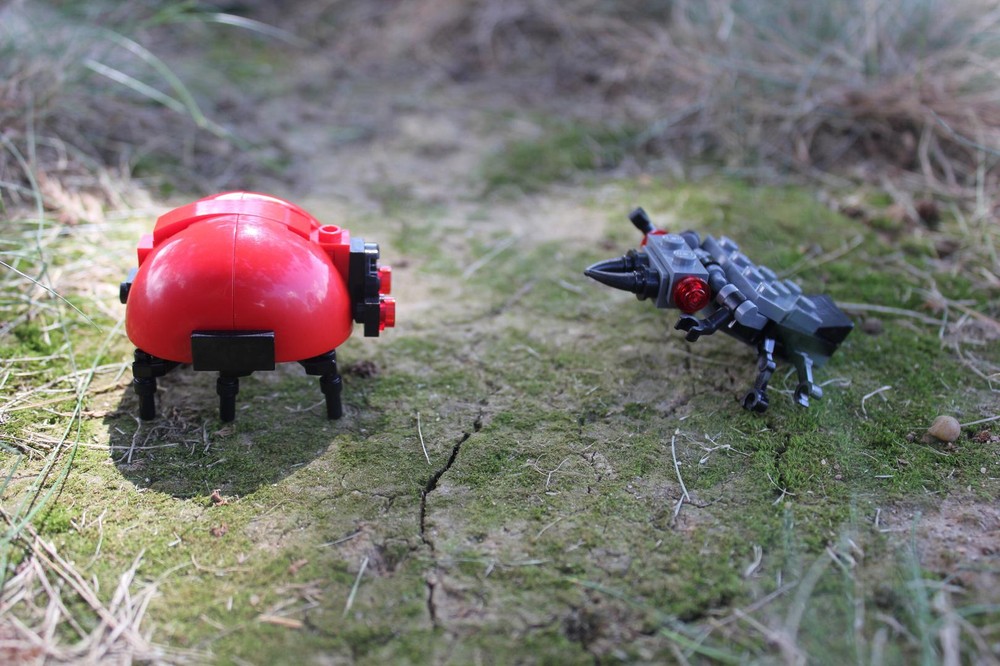 Lego (G) - The Ladybug vs. The Larva