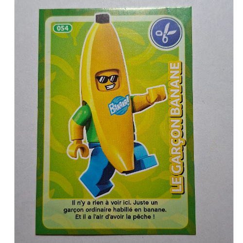 Lego Trading Card for Set TRADINGCARD-12, #054 Print / [No Color/Any Color]