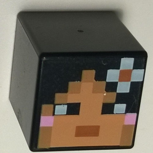 Lego Minifig Head Special, Cube with Minecraft Skin 2 Print