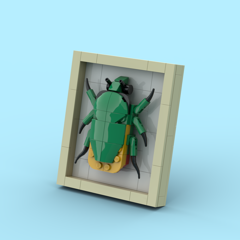 Lego Cotinis mutabilis