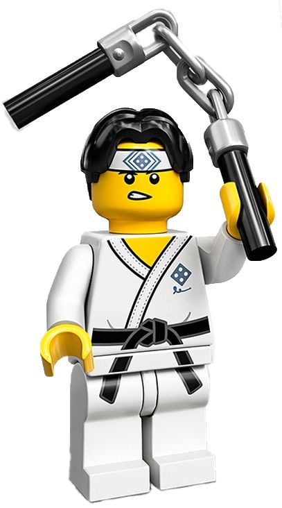 Lego Martial Arts Boy