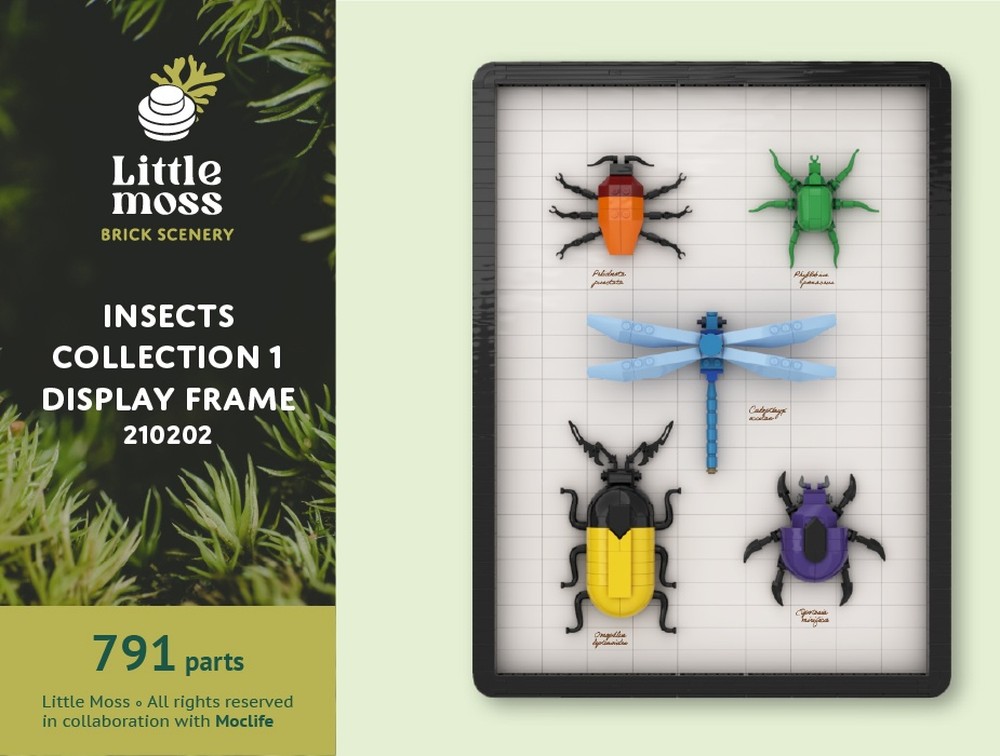 Lego Insects Collection 1 - Display Frame