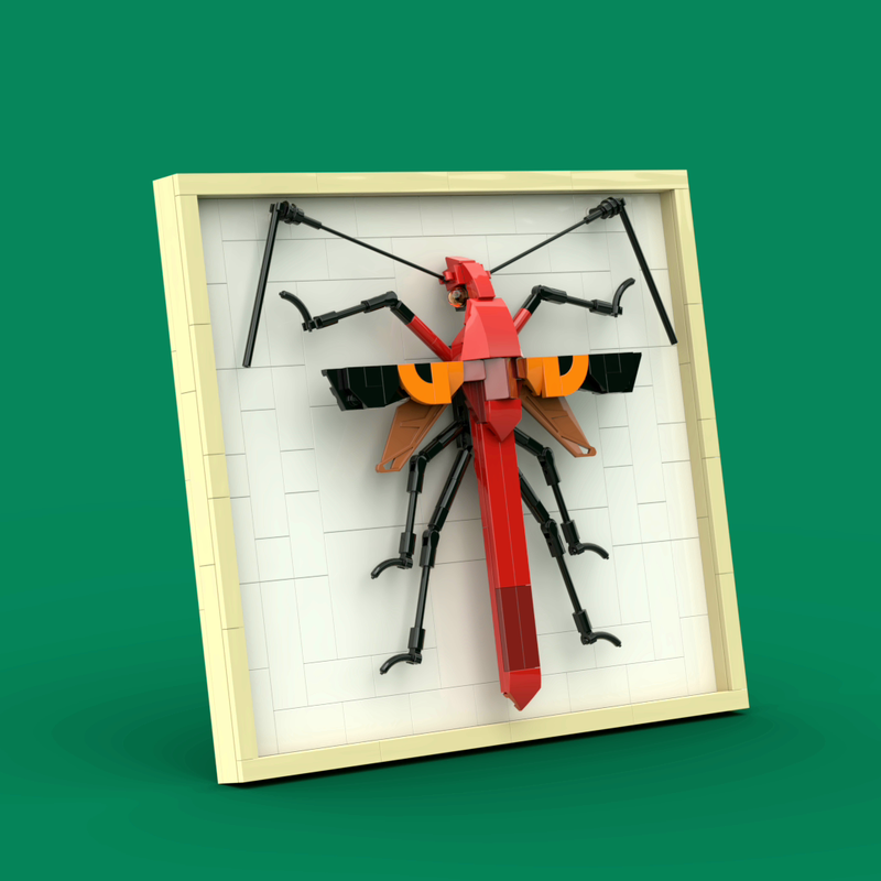 Lego Macrocheraia grandis