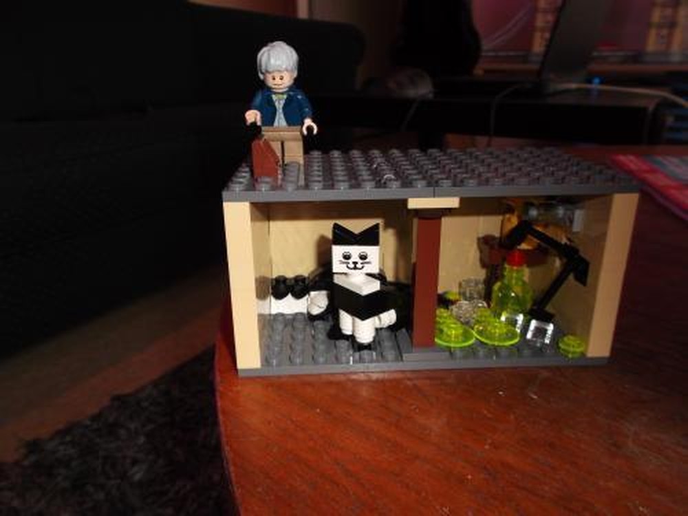 Lego Schrodingers Cat