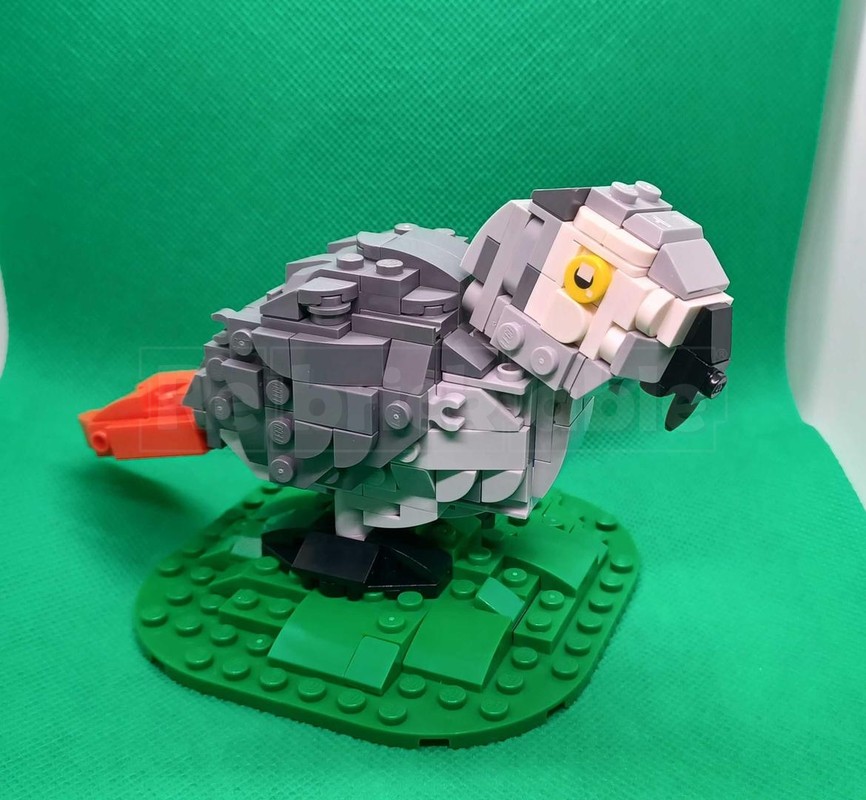 Lego African Grey Parrot