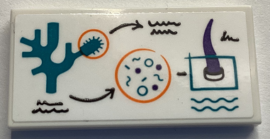 Lego Tile 2 x 4 with Dark Turquoise Coral, Bacteria, Black Writing and Dark Purple Horn on White Board Pattern (Sticker) - Set 60379