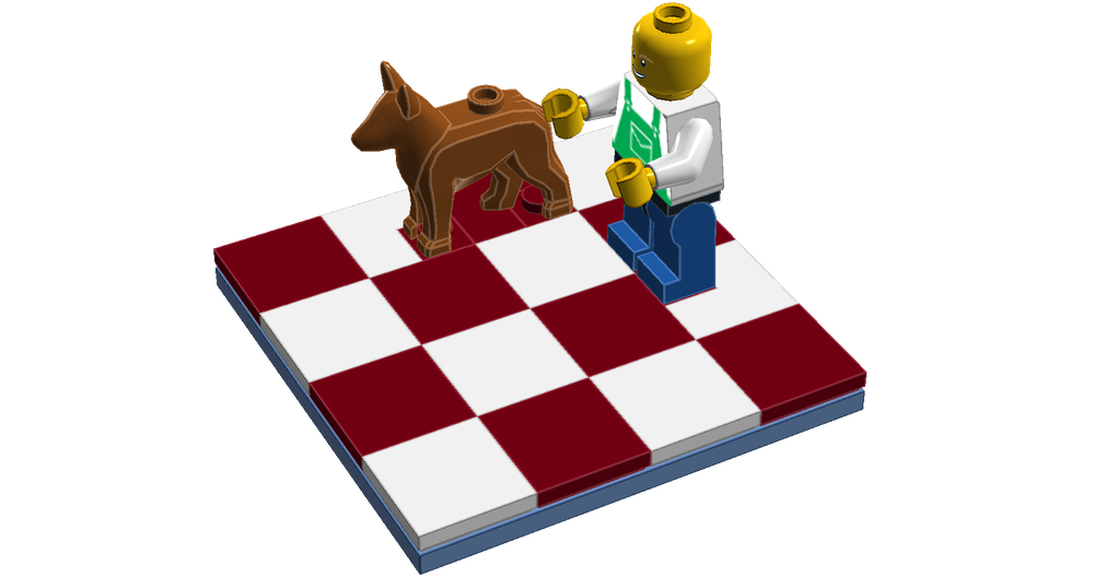 Lego Fun Things and Good Lessons to do with your Child while Isolated 4 WALK THE DOG IN YOUR BACK YARD OR INSIDE HOUSE.