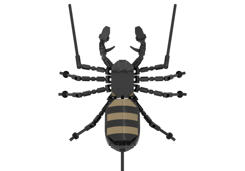 Lego Vinegaroon (Uropygi Order)