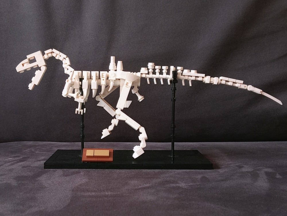 Lego concavenator corcovatus fossil