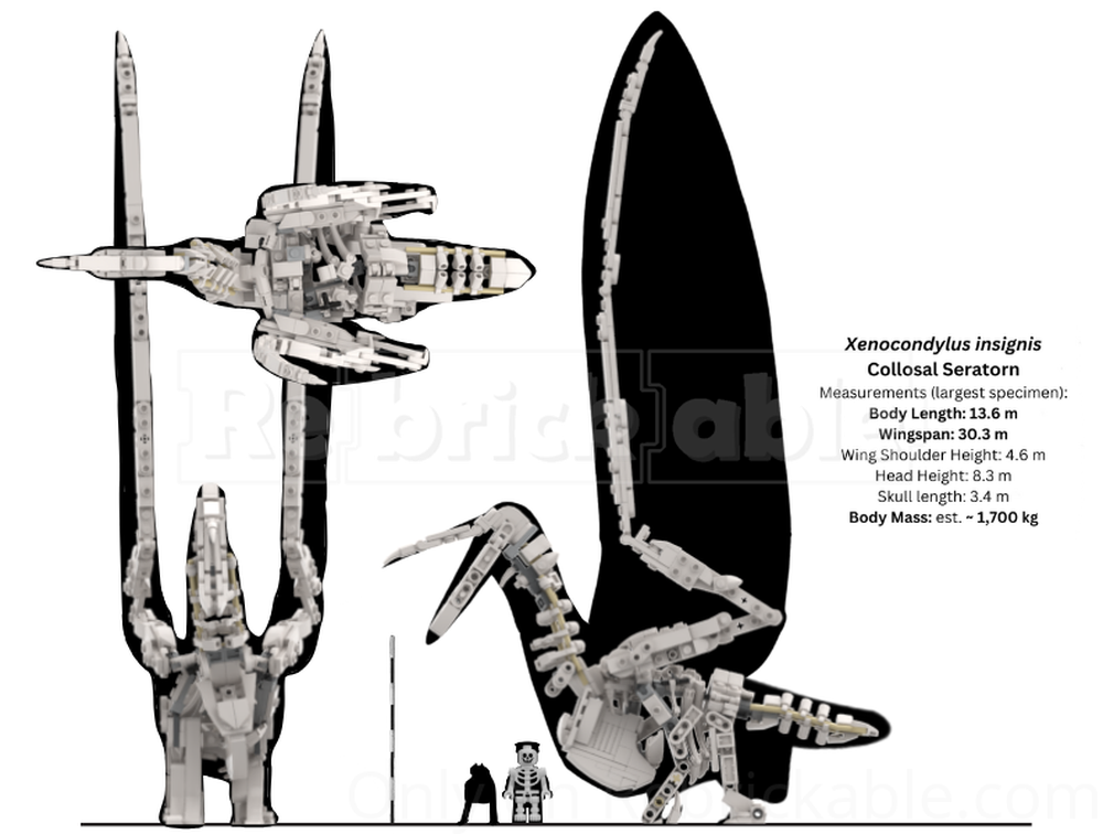 Lego 21320 Colossal Seratorn Skeleton (Xenocondylus insignis)