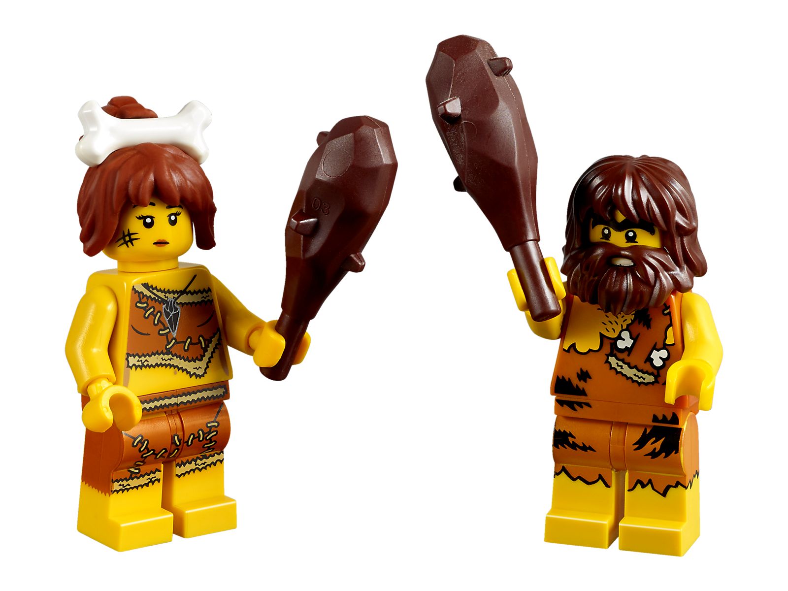 Lego Iconic Cave