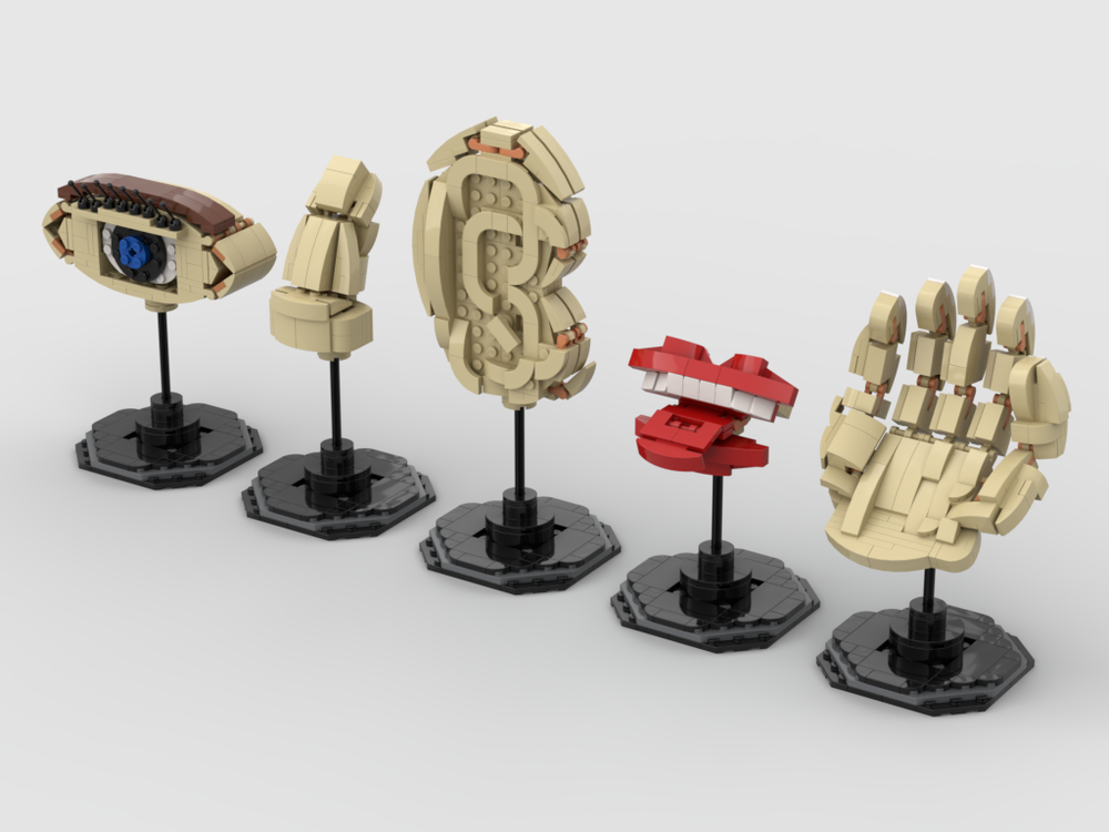 Lego The Five Senses