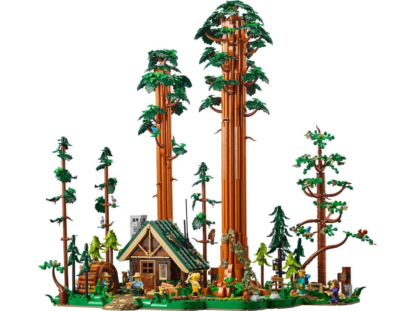 Lego Sequoia Tree Trail